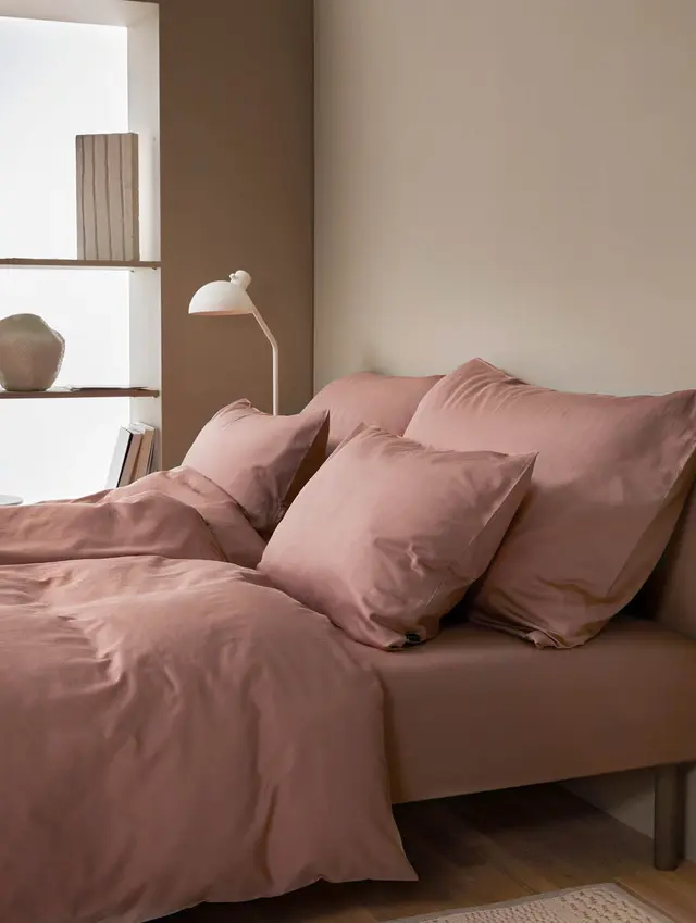 70008166harmonivarmrosa