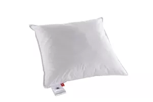 venusl